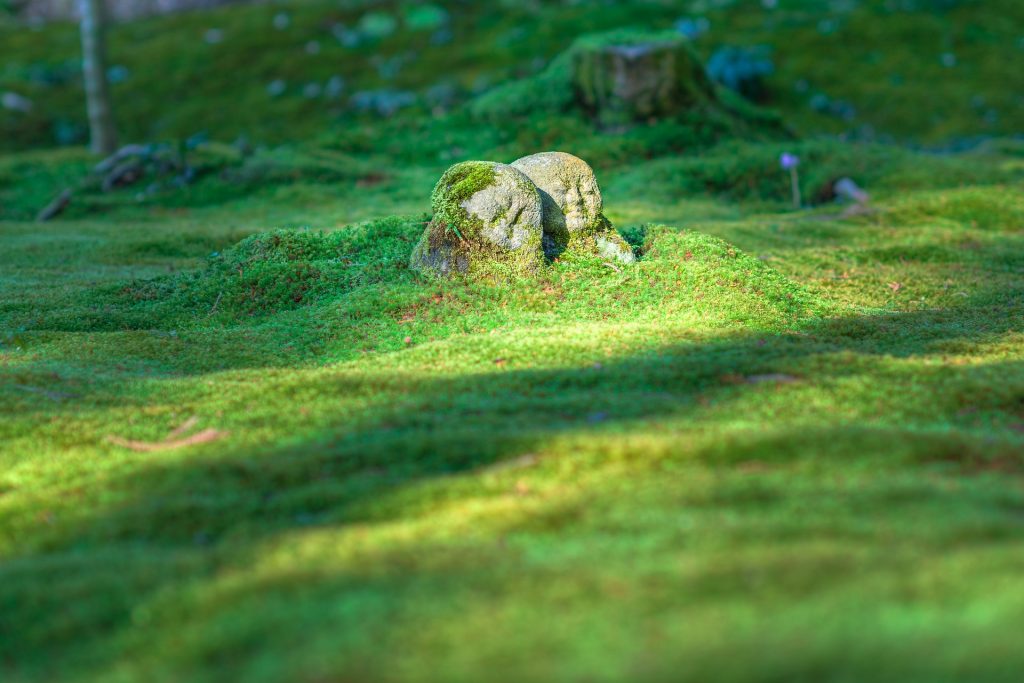 Méditation, un moment de sérénité